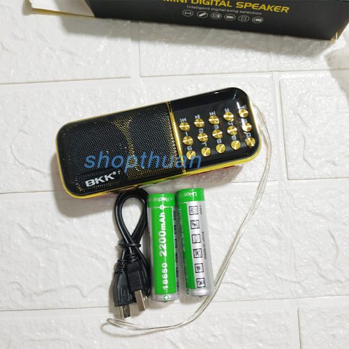 Loa BKK K51 Có 2 Pin - Có Đèn Pin Nghe Thẻ Nhớ USB FM