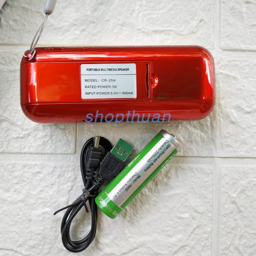 Loa Craven CR-25A - 1 Pin - Thẻ Nhớ - USB - FM